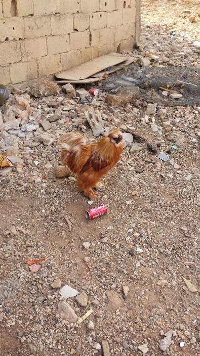 %d8%a7%d9%84%d9%82%d9%84%d9%85%d9%88%d9%861