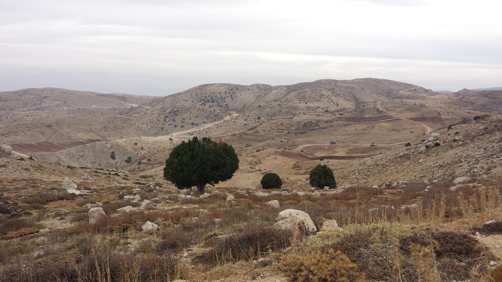 %d8%a7%d9%84%d9%82%d9%84%d9%85%d9%88%d9%8614