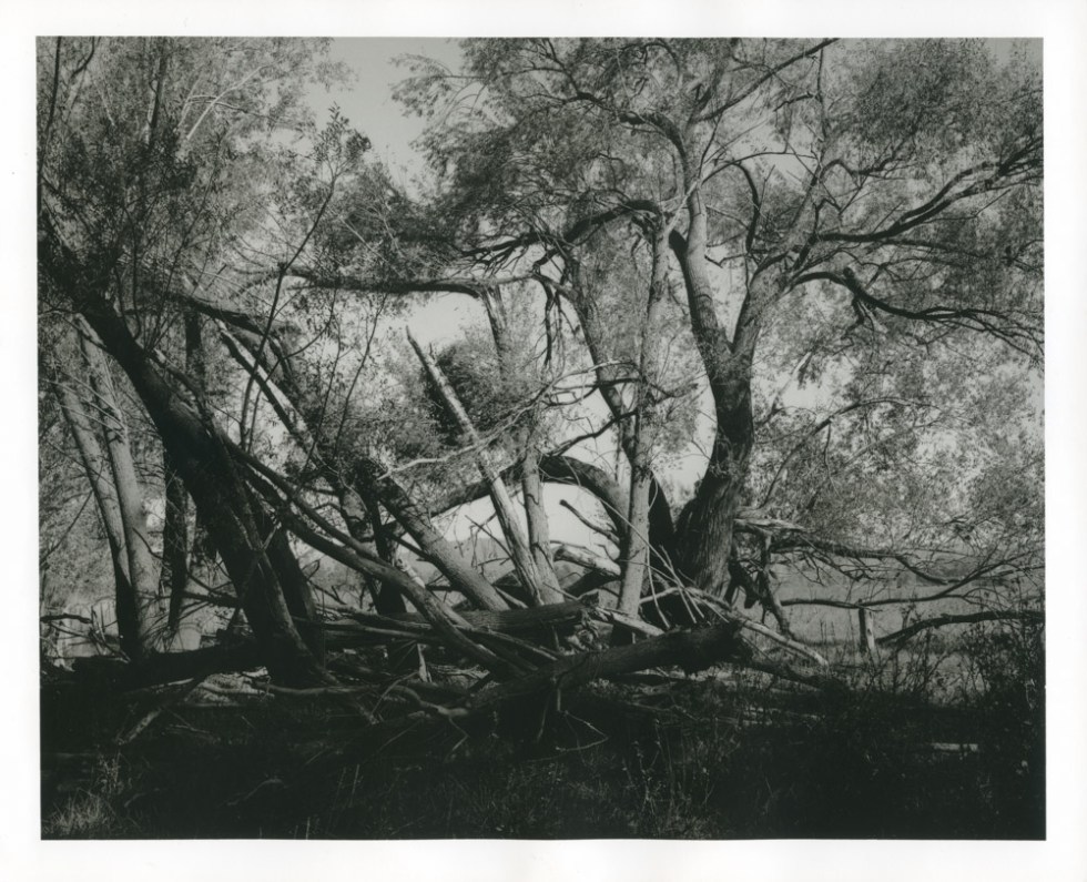 Wouter-Van de Voorde - be longing-15