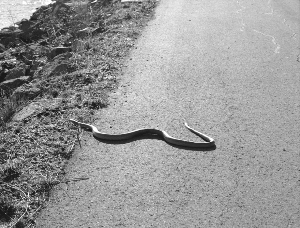 Wouter-Van de Voorde - be longing-3