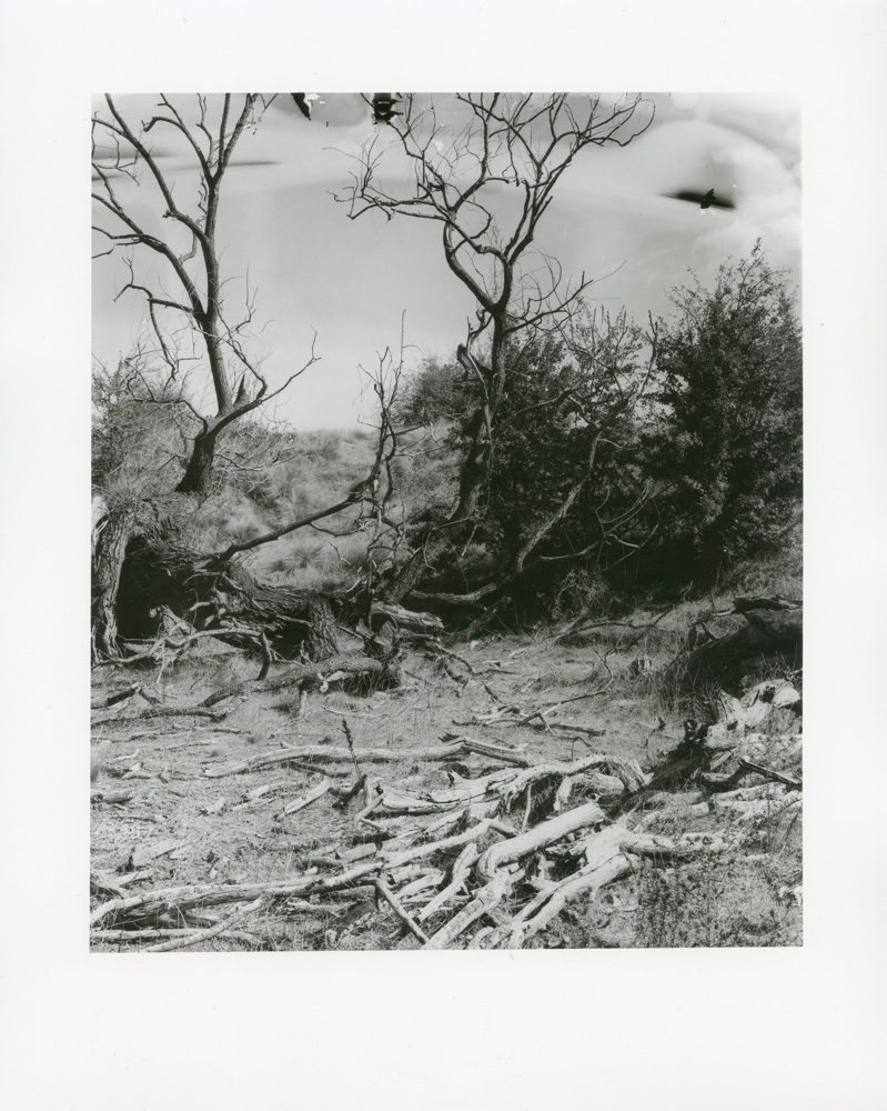 Wouter-Van de Voorde - be longing-5