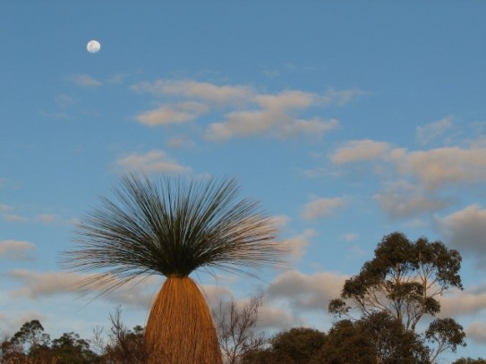 2018.04.15 - Boripat Lebel - The Reserve - Image by Andre Lebel