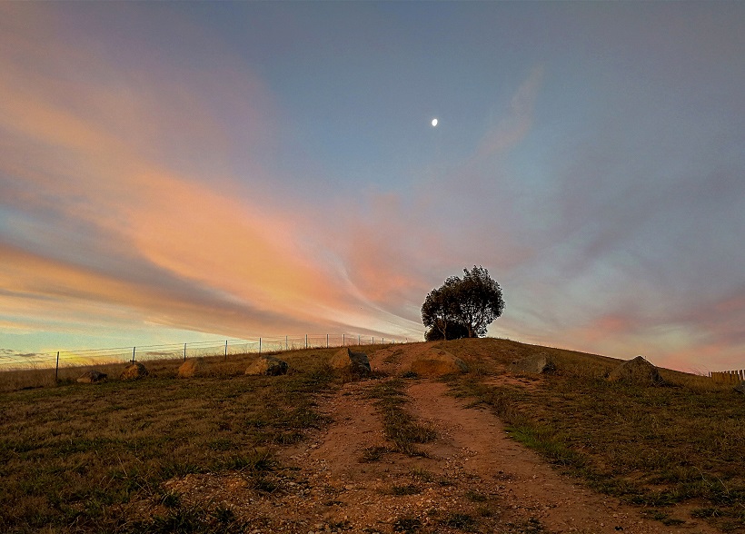 The fence sitter image.jpg